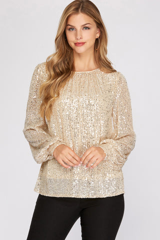 Sequin Balloon Sleeve Top - Hope Boutique Shop