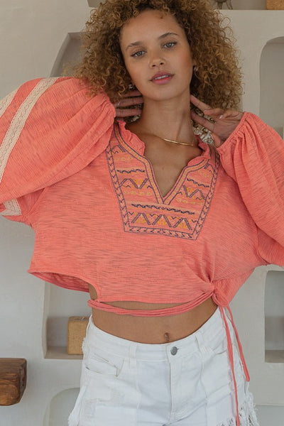 Embroidered Long Sleeve Crop Top